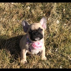 Meet your Posher, Nicki